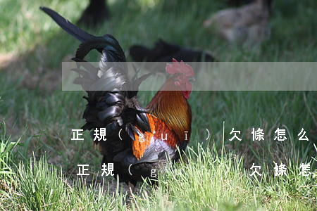 正規(guī)欠條怎么寫(xiě)圖片(正規(guī)欠條怎么寫(xiě)圖片 借條范本)