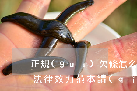 正規(guī)欠條怎么寫(xiě)才有法律效力范本(請(qǐng)問(wèn)一下欠條怎么寫(xiě)更有法律效果)
