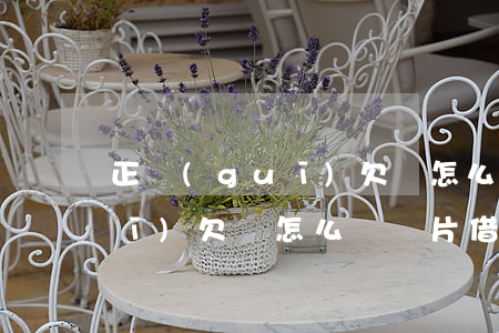 正規(guī)欠條怎么寫圖片(正規(guī)欠條怎么寫圖片 借條范本)