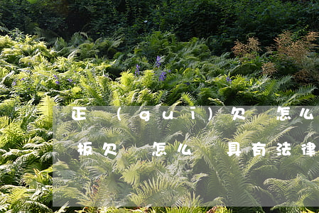 正規(guī)欠條怎么寫才有法律效力模板(欠條怎么寫具有法律效力范本)