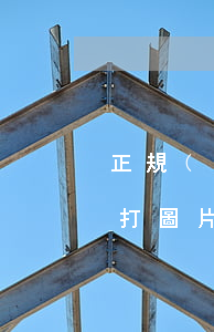正規(guī)欠條怎么打圖片(打欠條怎么打圖片)
