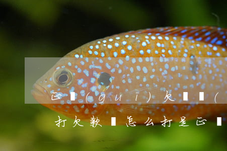 正規(guī)欠條應(yīng)該怎么打(欠款條怎么打是正規(guī)的)