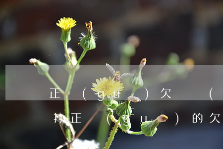 正規(guī)欠條應(yīng)該怎么打(正規(guī)的欠條怎么打有效)