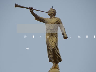 正規(guī)欠條應該怎么打(欠條怎么打的)