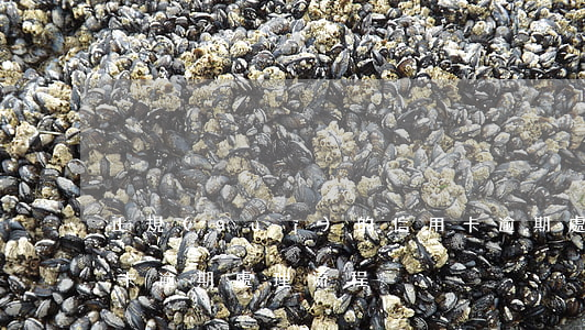 正規(guī)的信用卡逾期處理(最新信用卡逾期處理流程)