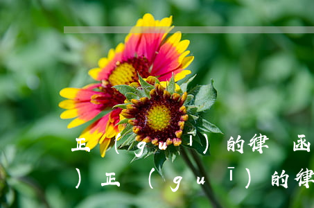 正規(guī)的律師函圖片 真實(shí)(正規(guī)的律師函圖片 真實(shí))