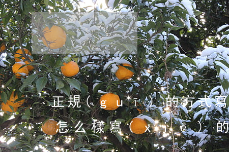 正規(guī)的方式寫(xiě)借條是怎么樣寫(xiě)的(正規(guī)借條應(yīng)該怎么寫(xiě)才有用)