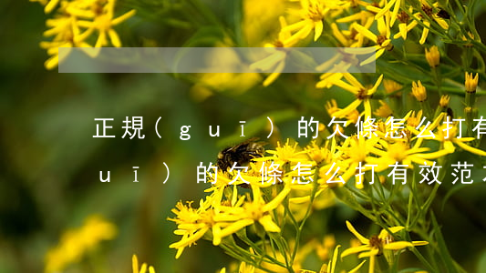 正規(guī)的欠條怎么打有效(正規(guī)的欠條怎么打有效范本)