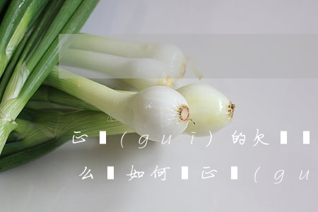 正規(guī)的欠條應(yīng)該怎么寫(如何寫正規(guī)的欠條)