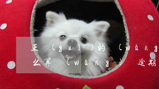 正規(guī)的網(wǎng)貸逾期怎么算(網(wǎng)貸逾期計(jì)算器)
