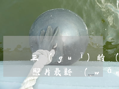 正規(guī)的網(wǎng)貸逾期的照片(最新網(wǎng)貸逾期圖片)
