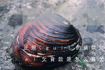 正規(guī)的貨款欠條怎么寫(結(jié)欠貨款是怎么寫欠條)