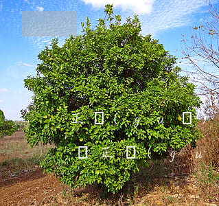 正規(guī)網(wǎng)貸會不會起訴(正規(guī)網(wǎng)貸會起訴嗎)