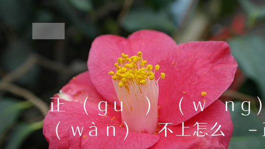 正規(guī)網(wǎng)貸欠了三萬(wàn)還不上怎么辦-正規(guī)網(wǎng)貸欠了三萬(wàn)還不上怎么辦呢