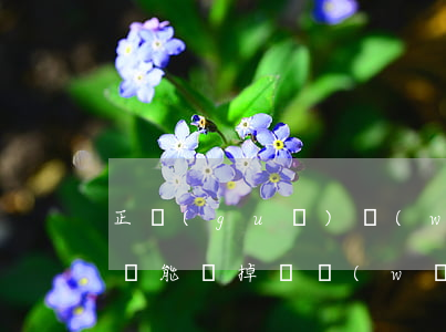 正規(guī)網(wǎng)貸欠了二十萬能還掉嗎(網(wǎng)貸欠了20多萬怎么辦)