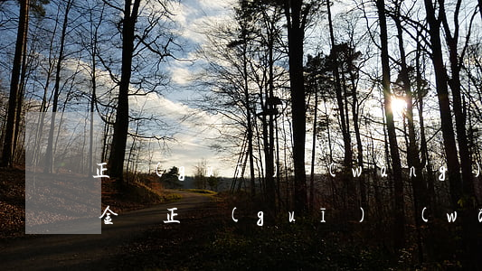 正規(guī)網(wǎng)貸能只還本金嗎 正規(guī)網(wǎng)貸能只還本金嗎怎么還