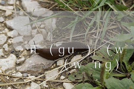 正規(guī)網(wǎng)貸逾期可以談嗎(網(wǎng)貸逾期可怕嗎)