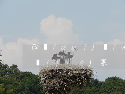 正規(guī)網(wǎng)貸逾期最壞結(jié)果