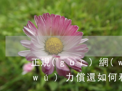 正規(guī)網(wǎng)貸逾期無(wú)力償還如何和平臺(tái)協(xié)商-網(wǎng)貸平臺(tái)逾期怎么協(xié)商