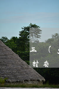 正規(guī)網(wǎng)貸逾期通知村委會了（網(wǎng)貸逾期威脅聯(lián)系村委會上門）