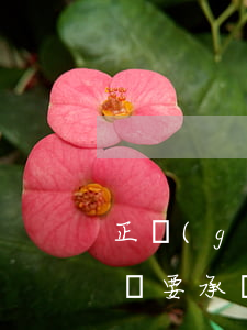 正規(guī)網貸公司起訴-網貸公司起訴要承擔起訴費用嗎