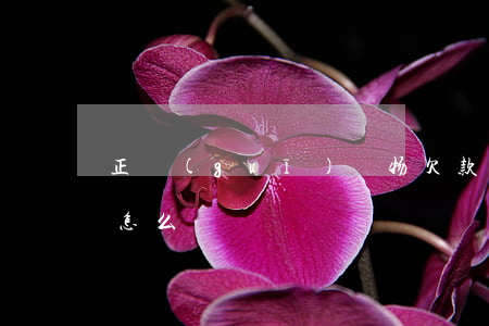 正規(guī)貨物欠款怎么寫(貨款欠款單怎么寫)