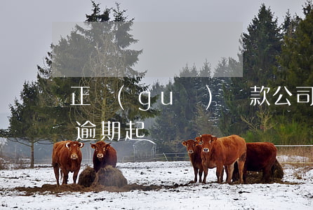 正規(guī)貸款公司逾期多久起訴 貸款逾期 起訴