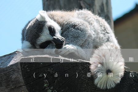 正規(guī)貸款逾期有什么后果(貸款嚴(yán)重逾期的后果)