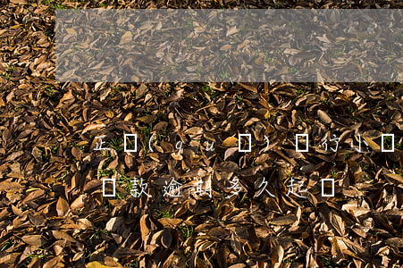 正規(guī)銀行小額貸款逾期(銀行小額貸款逾期多久起訴)