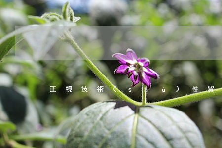 正視技術(shù)性貿(mào)易壁壘