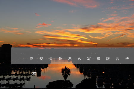 正规欠条怎么写模版(合法的欠条该怎么写样本)