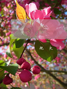 正规欠条怎么写(正规欠条怎么写模板)
