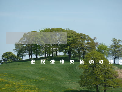 正规法律欠条的打法(合法的欠条)