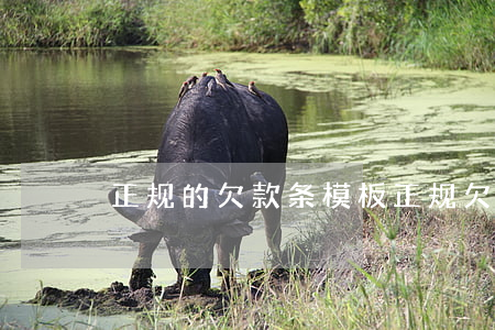 正规的欠款条模板(正规欠条怎么写模板)