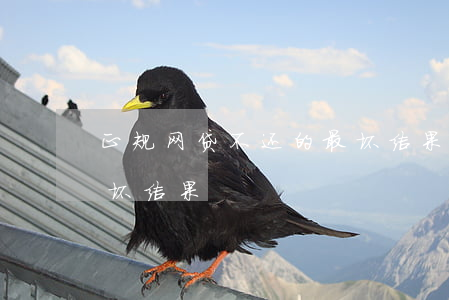 正规网贷不还的最坏结果(正规网贷不还的最坏结果)