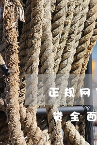正规网贷全面逾期无力偿还怎么办-正规网贷全面逾期无力偿还怎么办呢