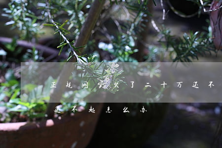正规网贷欠了二十万还不上(网贷欠了二十万还不起怎么办)