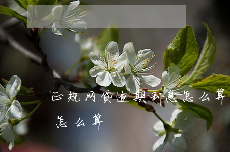 正规网贷逾期利息怎么算(正规网贷逾期利息怎么算)