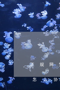 正规网贷逾期协商还款怎么处理(网贷逾期了,怎么协商)