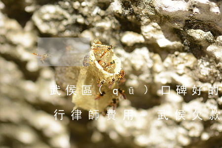 武侯區(qū)口碑好的債務執(zhí)行律師費用-武侯欠款律師