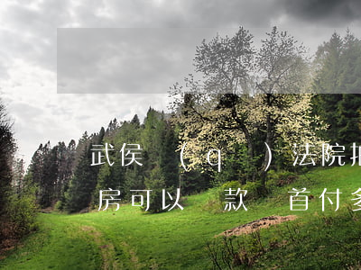 武侯區(qū)法院拍賣房可以貸款嗎(拍賣房可以貸款嗎首付多少)