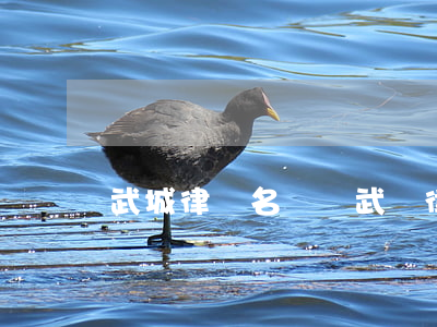 武城律師名單(臨武縣律師名單)