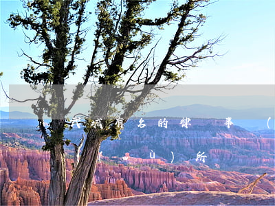武城有名的律師事務(wù)所(武勝律師事務(wù)所)