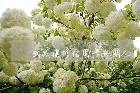 武威建行信用卡逾期人員