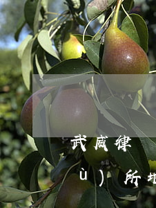 武威律師事務(wù)所(武威律師事務(wù)所地址)