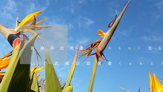 武威訴訟房產(chǎn)怎么收費(fèi)(武威訴訟房產(chǎn)怎么收費(fèi))