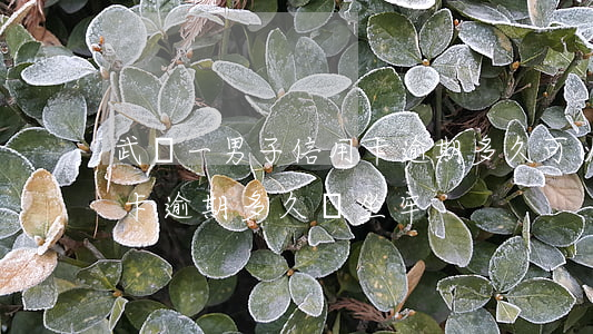 武寧一男子信用卡逾期多久可以用-欠信用卡逾期多久會坐牢