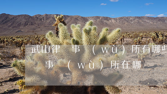 武山律師事務(wù)所有哪些(武漢青山律師事務(wù)所在哪)