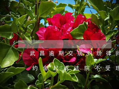 武昌逾期交房纠纷律师律师团队(逾期交房违约金起诉法院不受理)
