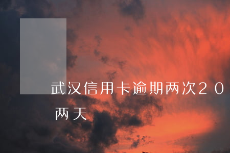 武汉信用卡逾期两次(2021年信用卡逾期两天)